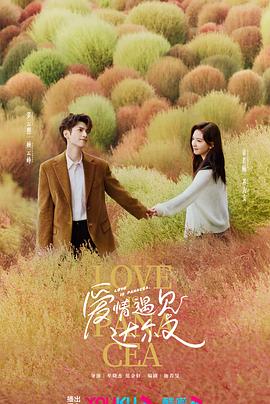 日韩一区二区毛片免费视频海报剧照